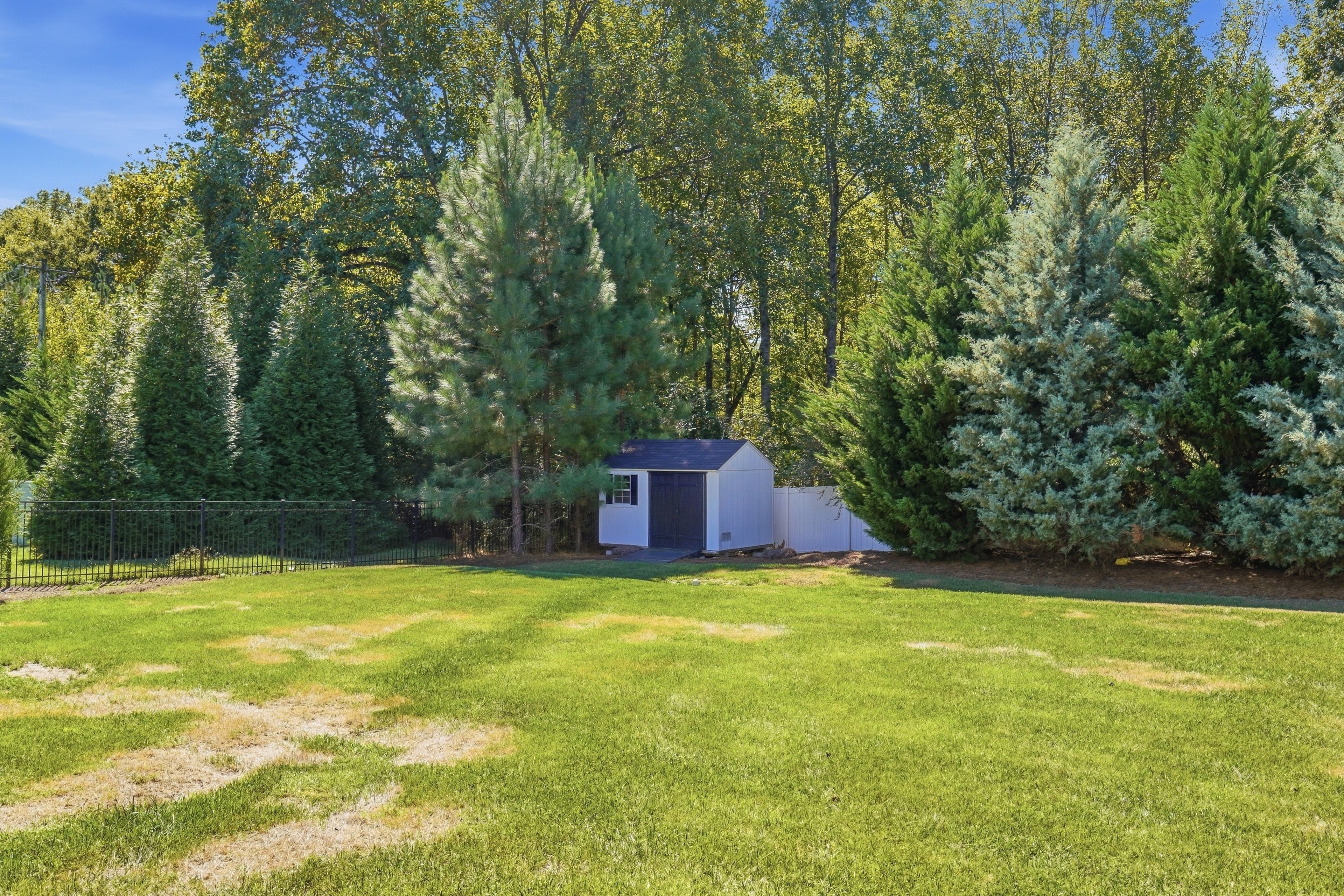 Shed and grounds