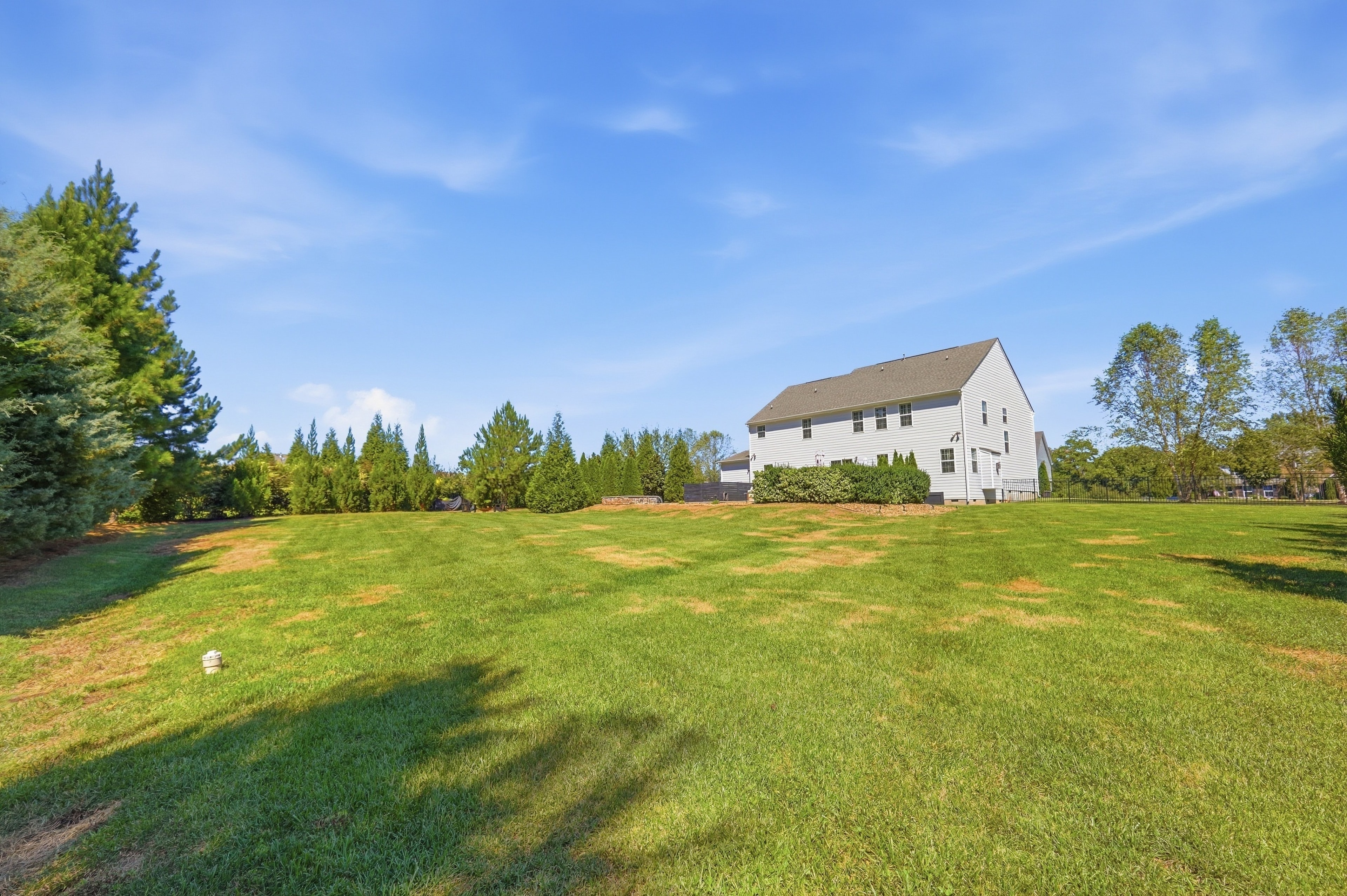 Full backyard lawn